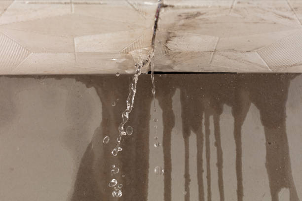 Professional Water Damage Repair technician working in Battle Ground, IN